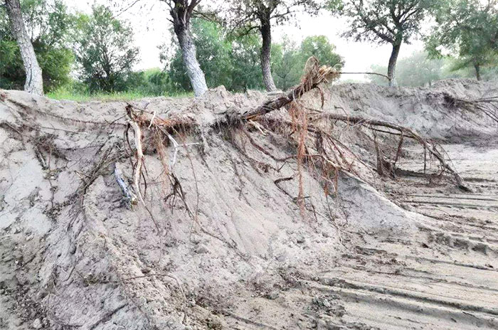 長(zhǎng)期采沙，生態(tài)遭到嚴(yán)重破壞